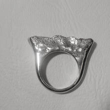 Carica l'immagine nel visualizzatore di Gallery, Frattura Asse Librale