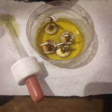 Load image into Gallery viewer, Gemelli C4 per John