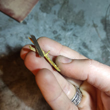 Carica l'immagine nel visualizzatore di Gallery, A per Anna