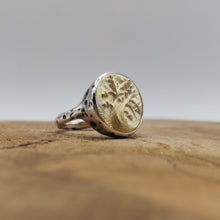 Carica l'immagine nel visualizzatore di Gallery, Anello C9