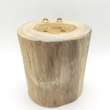 Load image into Gallery viewer, Orecchini C10