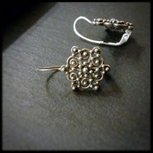 Load image into Gallery viewer, Earrings Cn.1