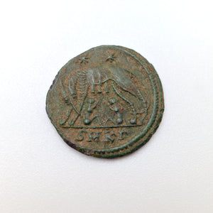 Orecchini C12