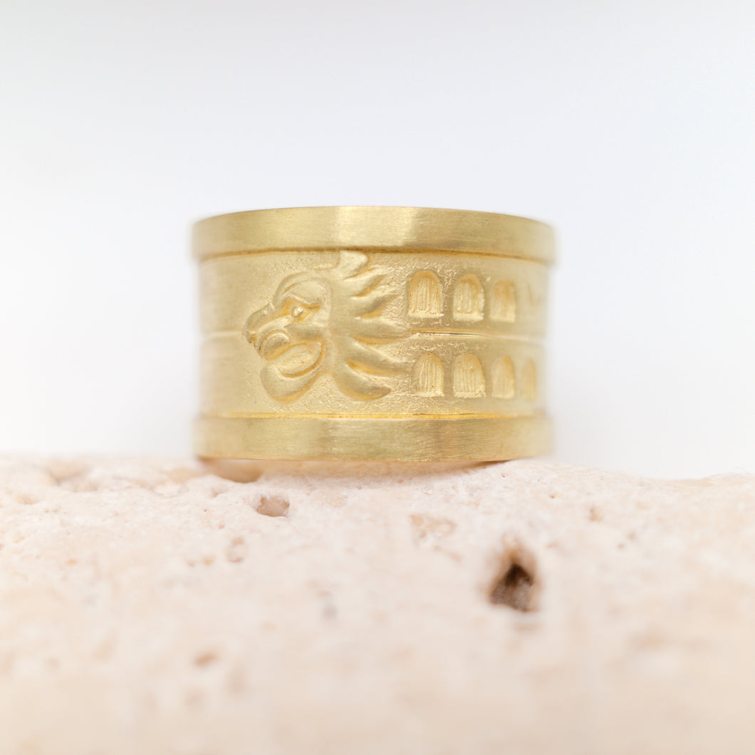 Anello leone-Colosseo per Riccardo